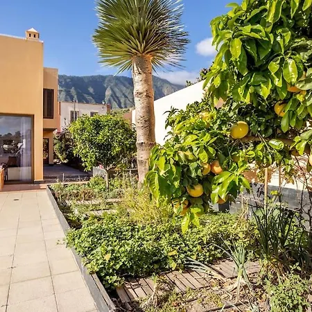 Villa De La Huerta Con Piscina Privada Y Barbacoa Guimar